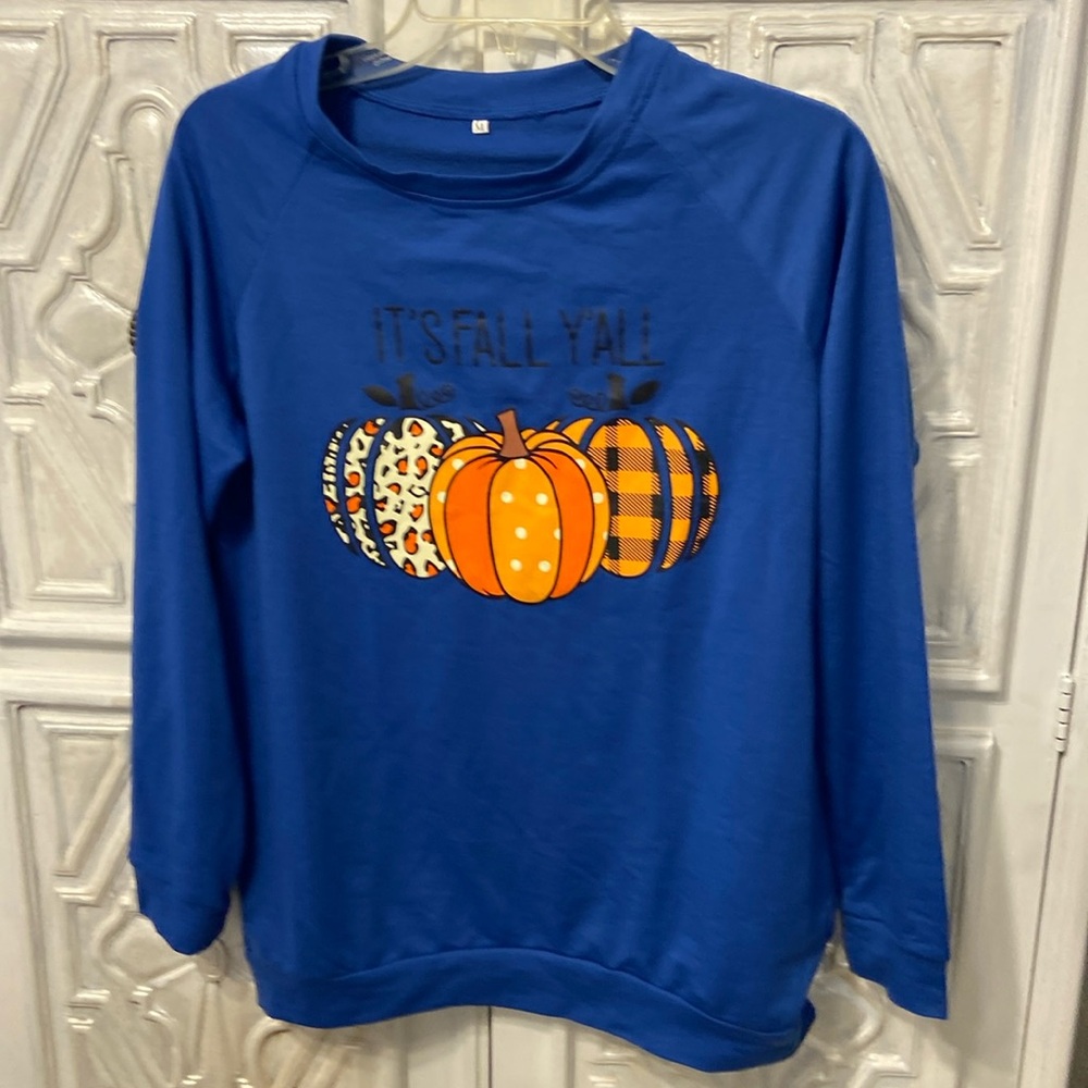 NWOT RADIANT BLUE SWEATSHIRT